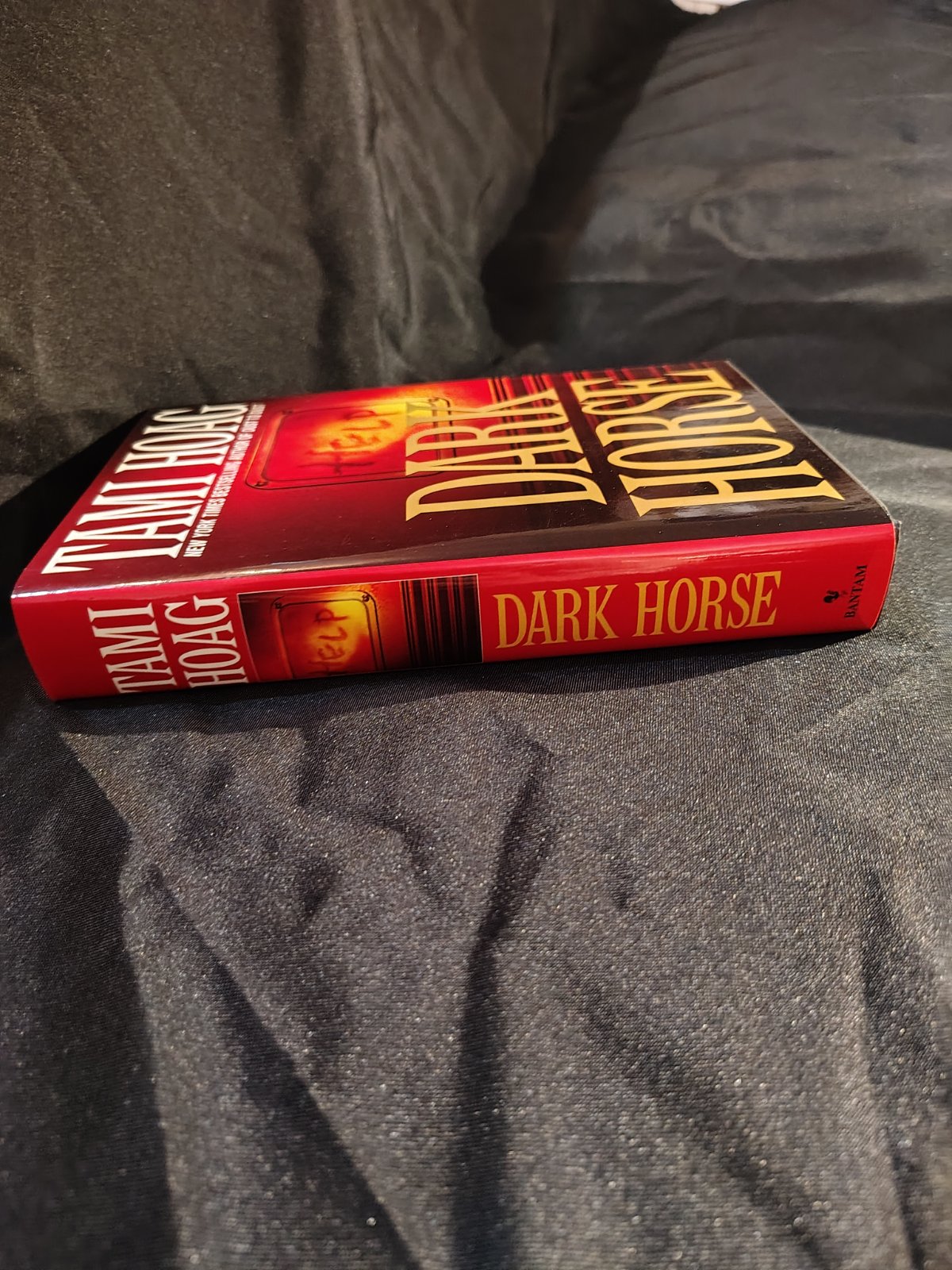 Photograph of Dark Horse (2 of 5)