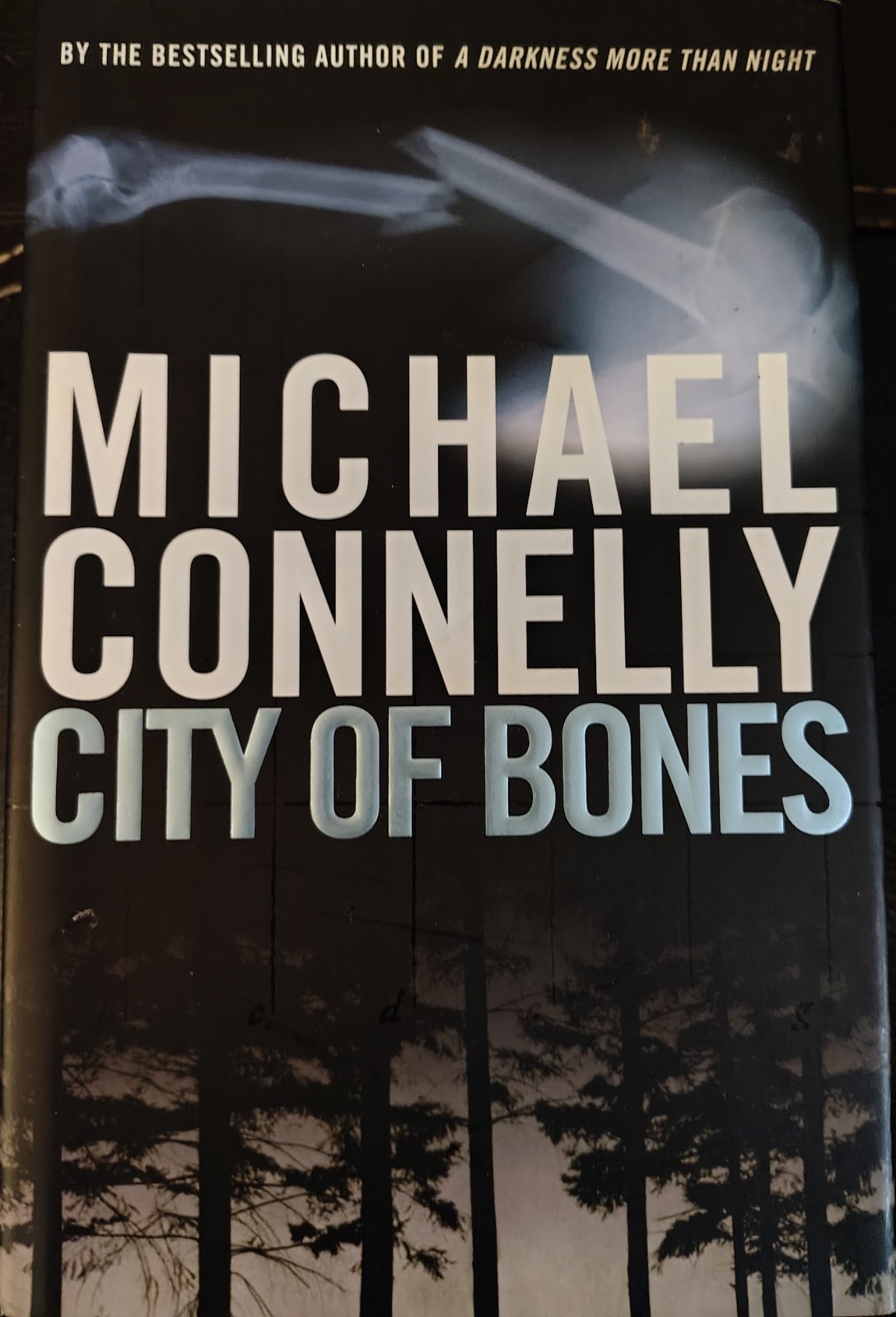Photograph of City of Bones